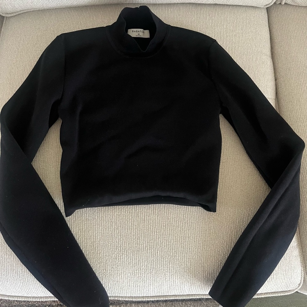 Babaton by Aritzia contour mock neck long sleeve (size XS)